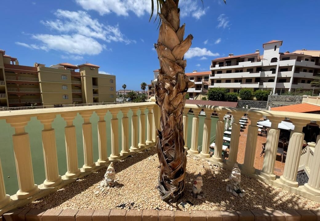 Terrace 5